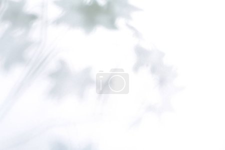 Foto de Fondo blanco de nieve con luces borrosas - Imagen libre de derechos