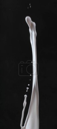 Téléchargez les photos : Éclaboussure de lait. éclaboussure de lait sur fond noir - en image libre de droit
