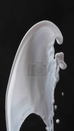 Photo for Milk splashes on a black background. - Royalty Free Image