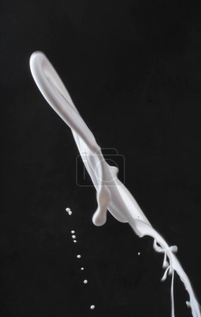 Photo for Splash of milk on black. abstract milk splash - Royalty Free Image