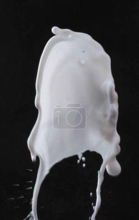 Photo for Splash and milk on a black background - Royalty Free Image