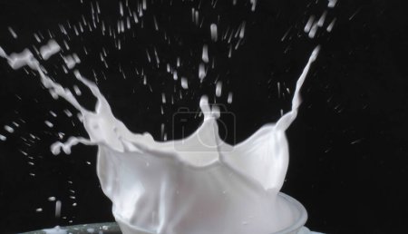 Téléchargez les photos : Éclaboussures de lait isolé sur fond noir - en image libre de droit