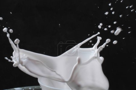 Photo for Splashing milk in a black glass - Royalty Free Image