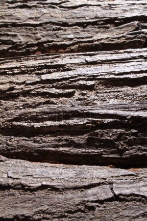 Photo for Old wood background with cracks and scratches - Royalty Free Image