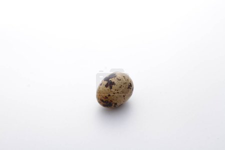Photo for Close up of quail egg with white background - Royalty Free Image