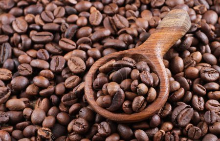 Foto de Un grano de café es una fruta de la planta de Coffea y la fuente de café. Es el pip dentro de la fruta roja o púrpura. - Imagen libre de derechos