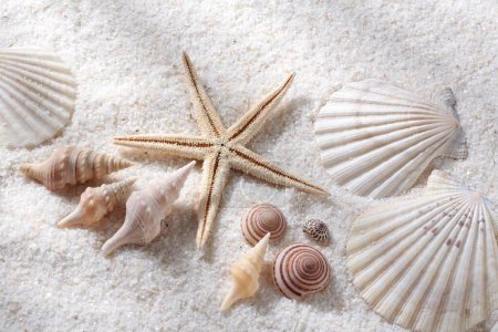 Foto de Conchas de mar y arena - Imagen libre de derechos