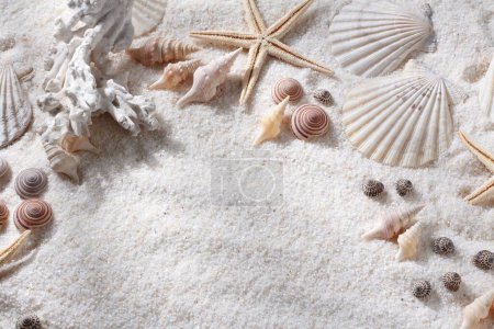 Photo for Seashells and seashells on a sand background. summer background - Royalty Free Image