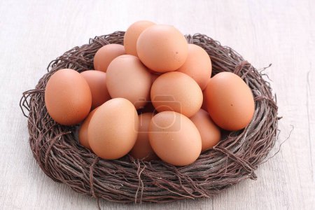 Foto de Huevos marrones y blancos en un nido. - Imagen libre de derechos