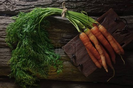 Photo for Fresh carrots and leaves on a dark background - Royalty Free Image