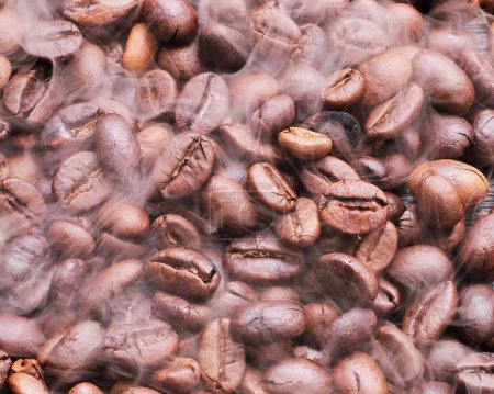 Photo for A lot of coffee beans in the morning. - Royalty Free Image