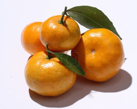Foto de Mandarinas frescas sobre un fondo blanco - Imagen libre de derechos