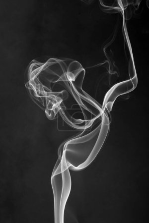 Photo for White smoke on black background - Royalty Free Image