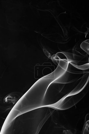 Photo for Abstract background smoke curves and wave - Royalty Free Image