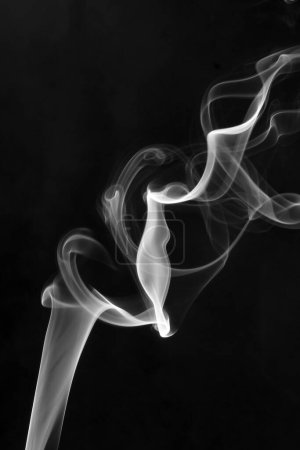 Photo for White smoke texture on black background - Royalty Free Image