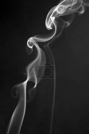 Photo for White smoke on a black background. - Royalty Free Image