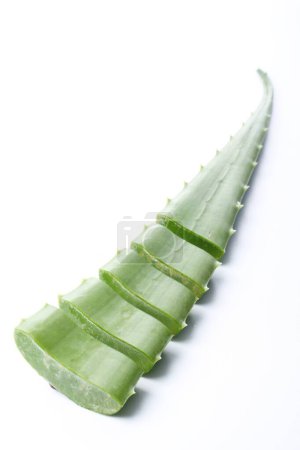 Photo for A sliced aloe vera on a white background - Royalty Free Image