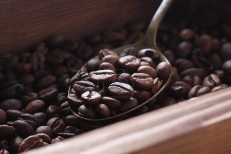Photo for Coffee beans on wooden background - Royalty Free Image