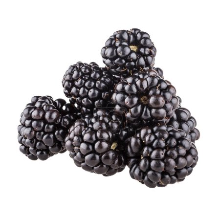 Photo for Blackberries isolated on white background - Royalty Free Image