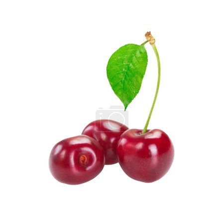 Photo for Cherry isolated on white background - Royalty Free Image
