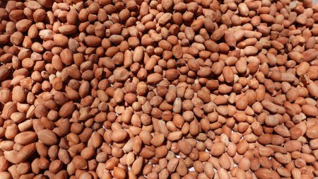 Top view of raw peanuts background