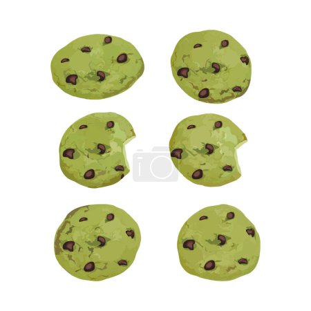 Hand drawn vector illustration of matcha or green tea cookies with chocolate chips on it