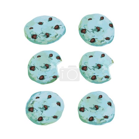 Hand drawn vector illustration of blueberry cookies with chocolate chips on it