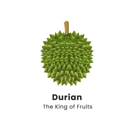 Ilustración vectorial de fruta duriana sobre fondo blanco