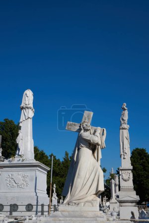 Photo for The Coln cemetery is declared a National Monument of Cuba. With its 57 hectares, it is the most important cemetery in the country. - Royalty Free Image