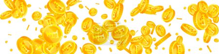 Swiss franc coins falling. Gold scattered CHF coins. Switzerland money. Jackpot wealth or success concept. Panoramic vector illustration.