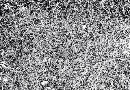 Photo for A black and white background with an intricate pattern of contrasting grass blades. Illustration of abstract background. - Royalty Free Image