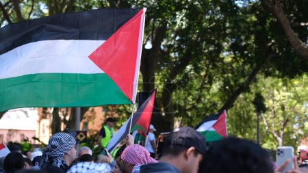Téléchargez les photos : Manifestations pour arrêter la guerre contre la Palestine. Sydney, 29 octobre 2023. - en image libre de droit