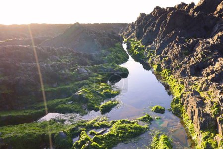 Téléchargez les photos : Piscine rocheuse avec algues vertes reflétant la lumière du soleil en arrière-plan, avec des cailloux et des roches rugueuses, l'eau est claire et près de la plage, de beaux paysages côtiers - en image libre de droit