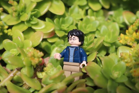 Photo for Lego harry potter minifigure close up with scar and glasses in leaves and foliage and plants close-up creative element, a lego children's toy plastic minifigure collective isolated in a pose - Royalty Free Image