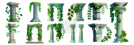 Téléchargez les illustrations : Ensemble illustration vectorielle de l'arc antique avec feuilles vertes et isolat de la plante sur blanc. - en licence libre de droit
