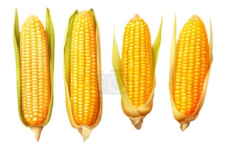Set Mais im Cartoon-Stil für Videospiel isoliert auf weißem Hintergrund.