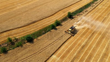 Foto de Vista aérea de cosechadora cosechadora cosechadora de trigo. Hermoso campo de trigo al atardecer. Combine la cosechadora trabajando en el campo de trigo grande
. - Imagen libre de derechos