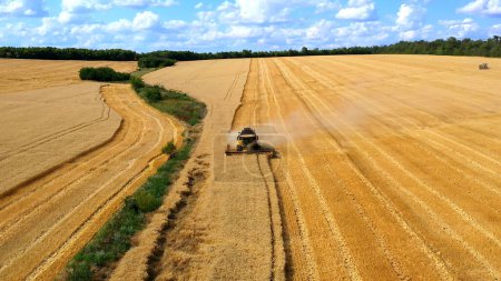 Harvesters wheat. harvesters a harvest wheat in the field. aerial drone filming harvesting. agriculture lifestyle business concept. combine tractor mows the wheat harvest gathers grains in the field
