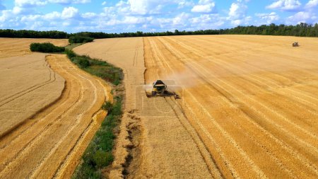 Erntemaschinen Weizen. Erntehelfer ernten Weizen auf dem Feld. Drohnen filmen die Ernte aus der Luft. Landwirtschaft Lifestyle Business-Konzept. Mähdrescher mäht die Weizenernte und sammelt Körner auf dem Feld