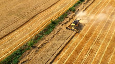Erntemaschinen Weizen. Erntehelfer ernten Weizen auf dem Feld. Drohnen filmen die Ernte aus der Luft. Landwirtschaft Lifestyle Business-Konzept. Mähdrescher mäht die Weizenernte und sammelt Körner auf dem Feld