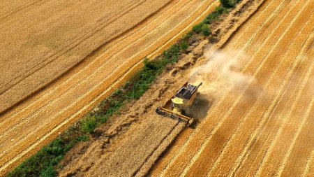 Téléchargez les photos : Harvesters wheat. harvesters a harvest wheat in the field. aerial drone filming harvesting. agriculture lifestyle business concept. combine tractor mows the wheat harvest gathers grains in the field - en image libre de droit