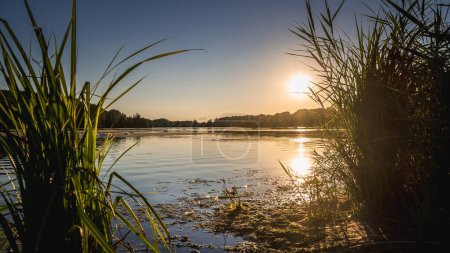 Photo for Sunset over the lake. nature. - Royalty Free Image