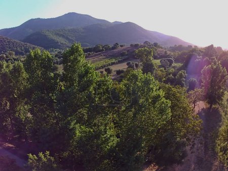 Téléchargez les photos : Vue aérienne du paysage rural en été avec des balles de foin - en image libre de droit