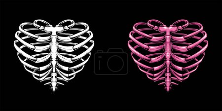 Brustkorb-Skelett mit Liebes-Herzform, eine einzigartige Illustration, die fesseln und inspirieren wird. Kühn kombiniert das kantige und alternative Gefühl eines Skeletts mit dem zeitlosen Symbol der Liebe