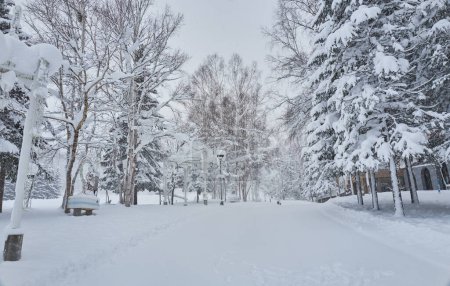 Téléchargez les photos : Empty snow road with tire tracks in the forest on cloudy winter day - en image libre de droit