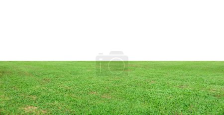 Foto de Paisaje de hierba verde aislado sobre fondo blanco con camino de recorte - Imagen libre de derechos