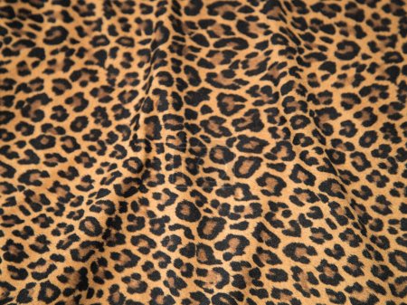 Photo for Leopard background texture safari pattern leopard print fabric material design. - Royalty Free Image