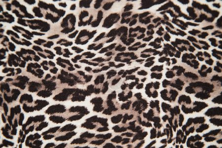 Photo for Leopard background texture safari pattern leopard print fabric material design. - Royalty Free Image