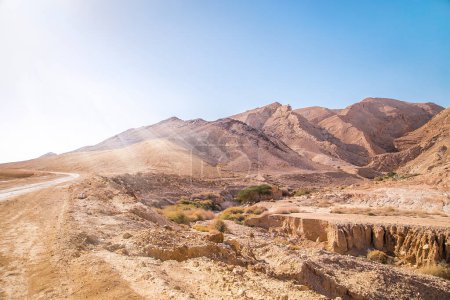 Photo for Rocky and dusty mountains of the Negev Desert in Israel. Breathtaking landscape with huge stones on top of the hillside near the peak of mountain range at sunbeam. Summer Landscape view with sunlight. - Royalty Free Image