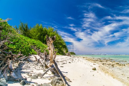 Tropische Küste auf den Cook Islands. Paradiesische Destination Rarotonga. Tropical Island Rarotonga. Tropischer Sandstrand mit grünen Bäumen. Azurblauer Himmel mit Wolken an einem sonnigen Tag. Blaues Meer mit kristallklarem Wasser.